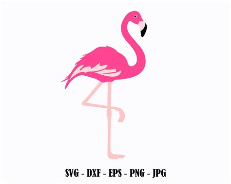Download Free Svg Pink Flamingo - Download Free SVG Cut File Easy Edite